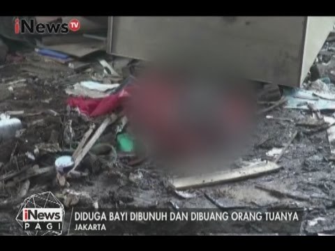 Sesosok bayi membusuk ditemukan warga tergeletak di sebuah gudang kayu - iNews Pagi 10/01