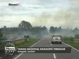 Taman Nasional di Rawaopa Sulteng terbakar - iNews Siang 04/02