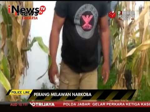 Perang melawan narkoba, dua pengedar sabu dibekuk di Gorontalo - Police Line 30/01