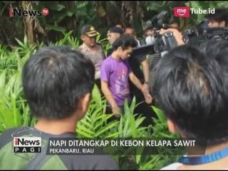 Berburu Tahanan Kabur, Polisi Tangkap 2 Tahanan yang Bersembunyi - iNews Pagi 10/05