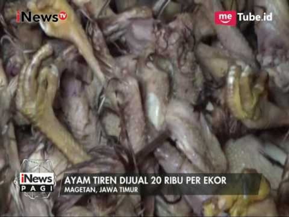 [Waspada] Polres Magetan Gelar Razia & Temukan Ratusan Ayam Tiren Siap Disebar - iNews Pagi 15/05