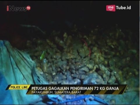 Kelabui Petugas, Polisi Berhasil Gagalkan Penyelundupan Ganja Dalam Karung Jahe - Police Line 15/05
