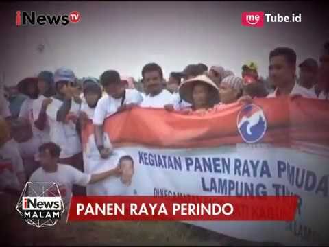 Partai Perindo Bersama Masyarakat Labuhan Ratu Lampung Gelar Panen Raya Padi - iNews Malam 19/05