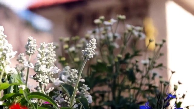 Your Vacation Of A Lifetime Awaits At The Chalet Ouray Chalet