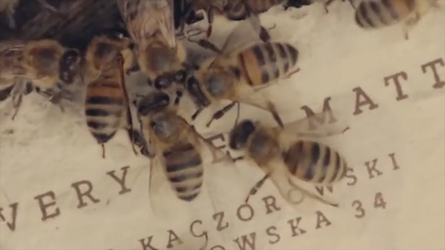 This Paper Can Save Exhausted Bees