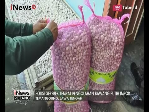 Waspada!! Bawang Putih Import Bercampur Cairan Berbahaya Hingga Terlihat Putih - iNews Petang 16/06