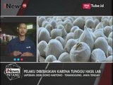 Informasi Terbaru Terkait Bawang Putih Oplosan - iNews Petang 17/06