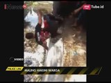 Mengerikan!! Video Amatir Jambret Babak Belur Dihajar Massa - Police Line 20/07