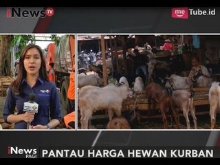 Semakin Dekat Idul Adha, Harga Hewan Qurban Alami Kenaikan Hingga 1 Juta - iNews Pagi 29/08