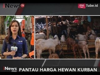 Video herunterladen: Semakin Dekat Idul Adha, Harga Hewan Qurban Alami Kenaikan Hingga 1 Juta - iNews Pagi 29/08