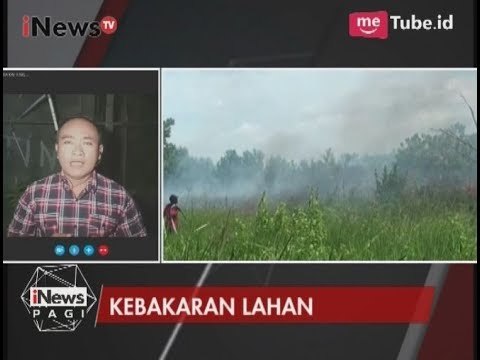 Laporan Terkini dari Palangkaraya Terkait Kebakaran Lahan - iNews Pagi 08/08