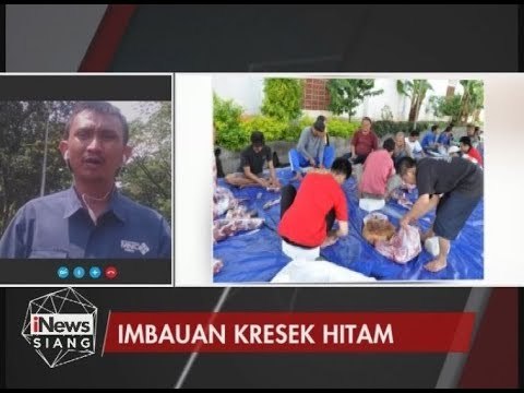 IPB Himbau Plastik Hitam Tak di Gunakan Untuk Daging Qurban Karena Berbahaya - iNews Siang 10/08