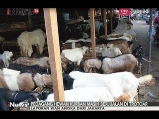 Persiapan Jelang Idul Adha di Jakarta & Surabaya Terkait Penjualan Hewan Qurban - iNews Pagi 24/08