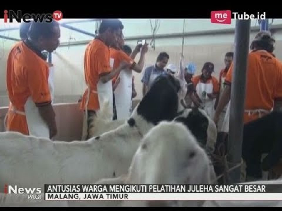 100 Orang Juru Sembelih di Malang Ikuti Pelatihan Penyembelihan yang Baik - iNews Pagi 25/08