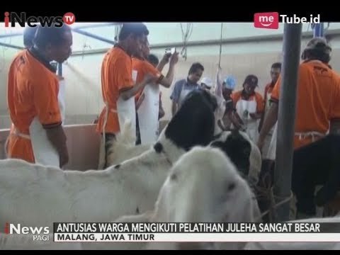 100 Orang Juru Sembelih di Malang Ikuti Pelatihan Penyembelihan yang Baik - iNews Pagi 25/08