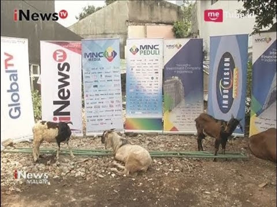 Bertepatan dengan Idul Adha, MNC Group Sumbang Sapi & Kambing untuk Warga - iNews Malam 01/09