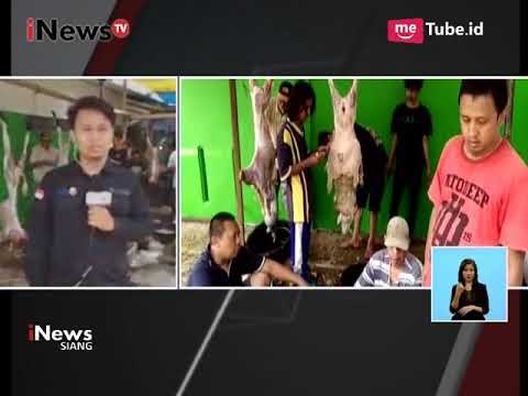 Laporan Kegiatan Penyembelihan Hewan Qurban di Depok - iNews Siang 02/09