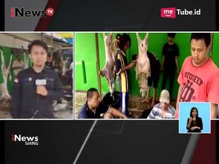 Laporan Kegiatan Penyembelihan Hewan Qurban di Depok - iNews Siang 02/09