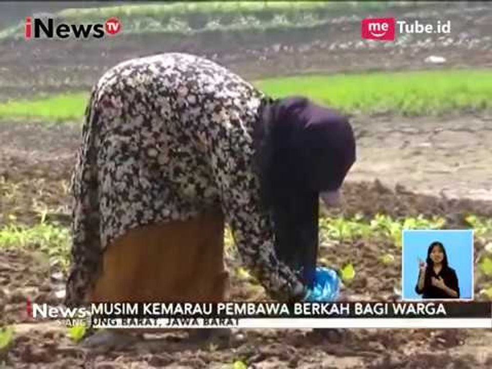 Sungai Mengering, Warga Manfaatkan Tanah Pinggir Sungai Sebagai Lahan Bertani - iNews Siang 05/09
