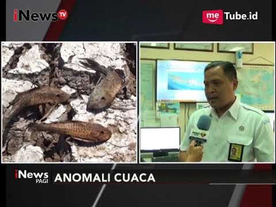 Masuki Puncak Kemarau, BMKG Surabaya Katakan Saat Ini Masih Dalam Kondisi Normal - iNews Pagi 20/09