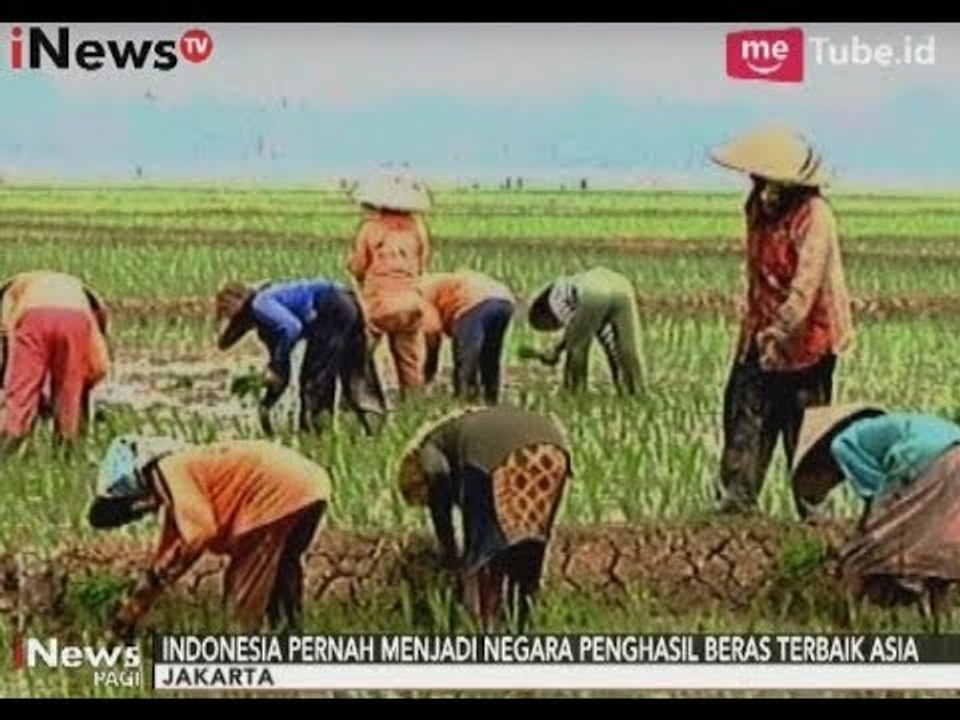 Permasalahan Sektor Pertanian, Petani Butuh Bantuan & Perhatian Dari Semua Pihak - iNews Pagi 20/09