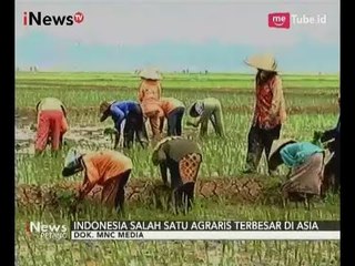 Tải video: Sektor Pertanian di Indonesia yang Terbesar, Namun Permasalahan Sering Terjadi - iNews Petang 19/09