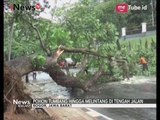 Pohon di Depan Istana Bogor Tumbang, Satu Pengendara Motor Terluka - iNews Malam 27/09