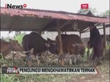 Khawatirkan Ternak, Pengungsi Gn Agung Pulang Ke Rumahnya untuk Mengurus Ternak - iNews Prime 28/09