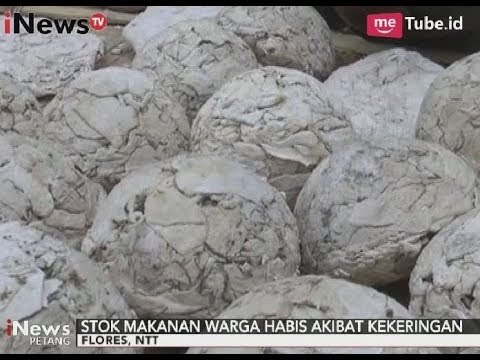 Miris!! Kehabisan Makanan, Warga Konsumsi Ubi Beracun Hingga Anak Meninggal - iNews Petang 06/10