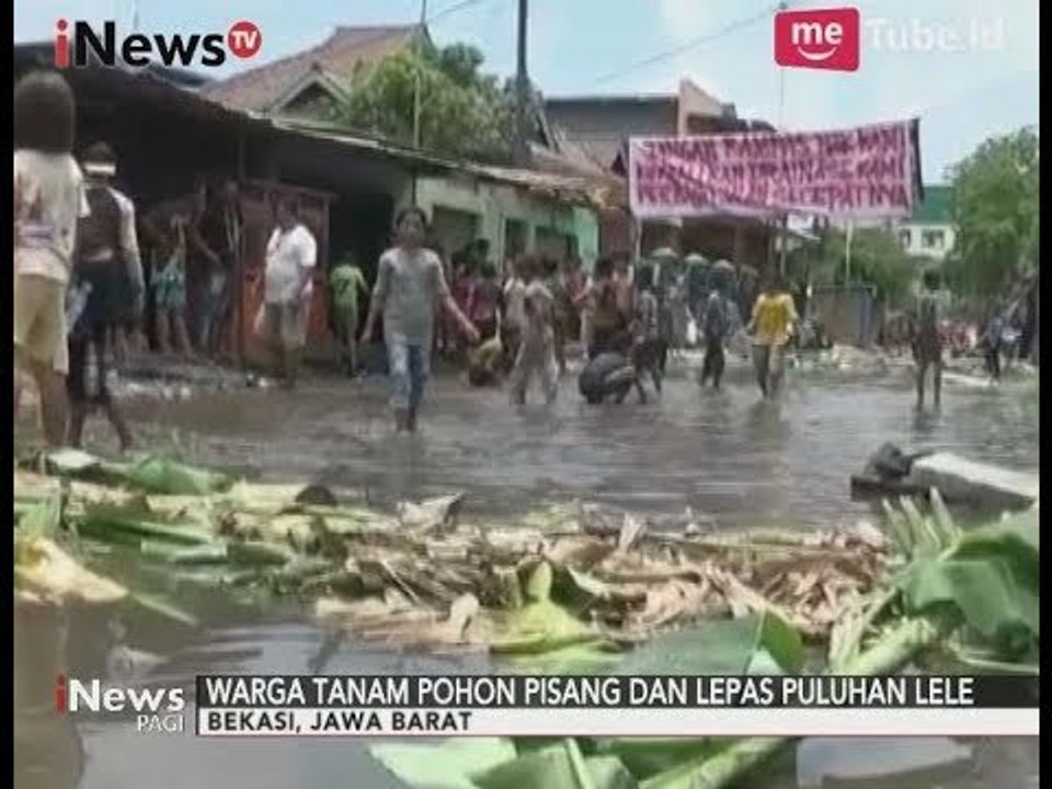 Tak Kunjung Diperbaiki, Warga Bekasi Blokir Jalan dengan Pohon Pisang - iNews Pagi 10/10