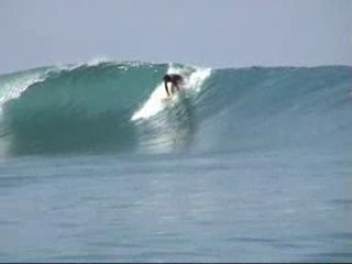 Shaper swop surfboard david charbonnel