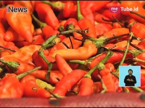 Efek Cuaca Ekstrem, Harga Bahan Pokok Naik - iNews Siang 05/12