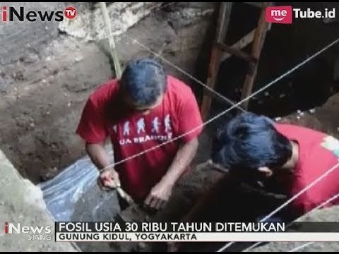 Heboh!! Warga Gunung Kidul Temukan Fosil Purba Berumur 30 Ribu Tahun - iNews Siang 25/10