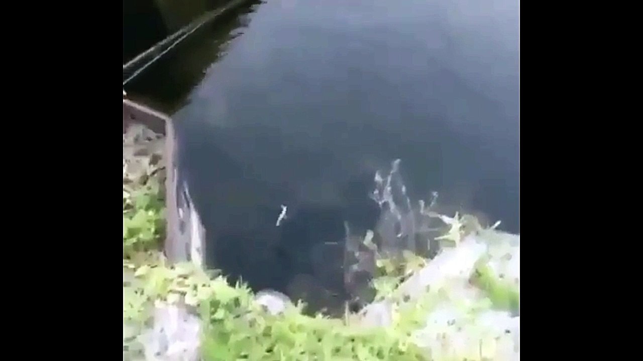 Quick Little Dip and the Fight Start