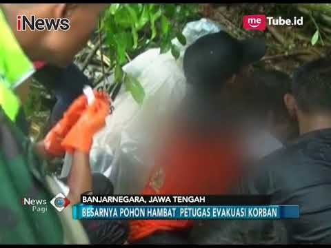 Sebuah Pohon Bringin Raksasa Tumbang & Menewaskan Seorang Warga - iNews Pagi 09/11