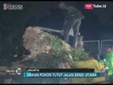 2 Pohon Besar Tumbang Usai Diterjang Hujan Angin di Kawasan Ciputat Raya - iNews Pagi 14/11
