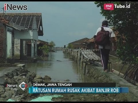 Kerusakan Lingkungan Kian Parah, Banjir Rob Menghancurkan Rumah Warga Demak - iNews Pagi 14/11