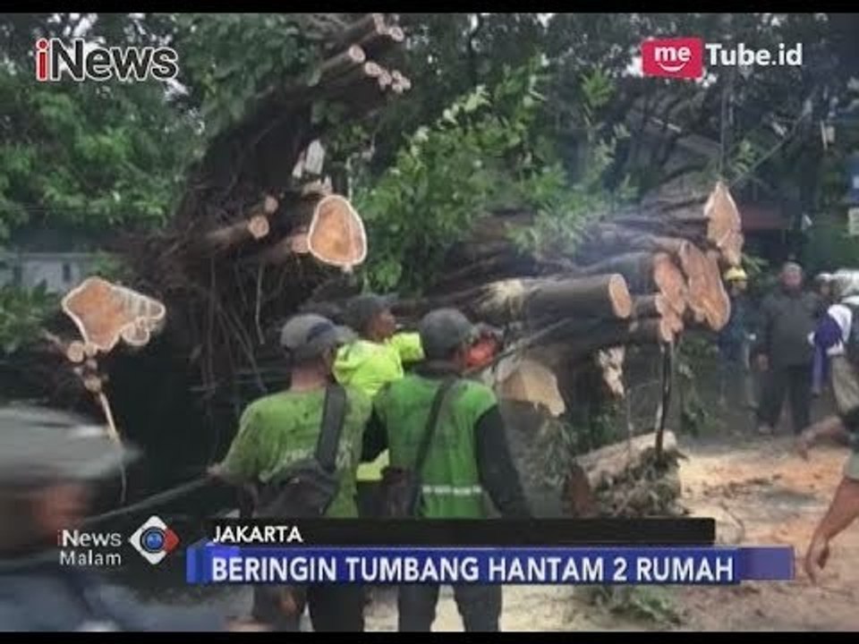 Pohon Besar Disejumlah Wilayah Tumbang Usai Diterpa Hujan Deras & Angin Kencang - iNews Malam 13/11
