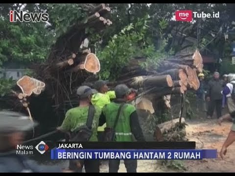 Pohon Besar Disejumlah Wilayah Tumbang Usai Diterpa Hujan Deras & Angin Kencang - iNews Malam 13/11