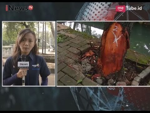 Situasi Terkini dari TKP Lokasi Kecelakaan Ketua DPR RI Setnov - iNews Pagi 17/11