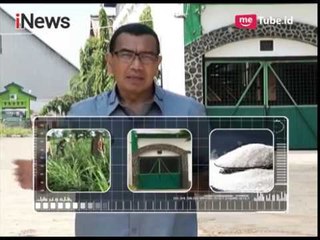 Permasalahan Petani Tebu Indonesia dalam Produksi Gula - Rakyat Bicara 19/11
