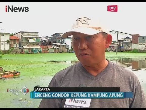 Tergenang Air Selama Puluhan Tahun, Warga Kampung Apung Menagih Janji - iNews Pagi 22/11