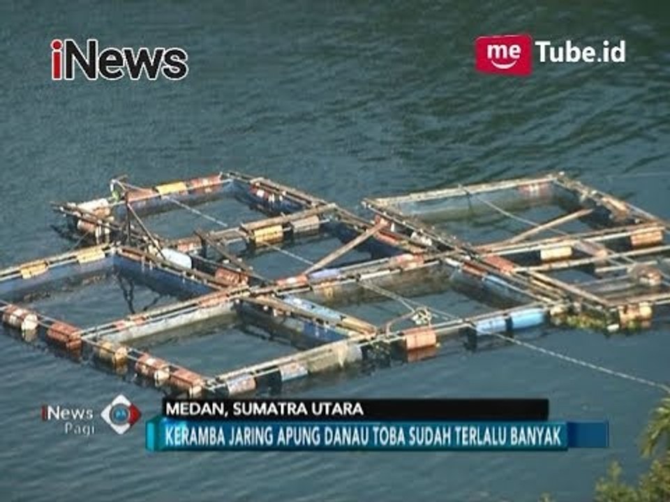Kurangi Pencemaran di Danau Toba, Penggunaan Keramba Jaring Apung Dihentikan - iNews Pagi 24/11