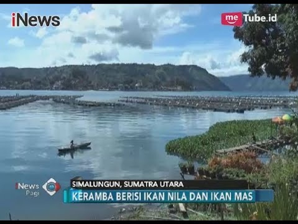 Pudar, Keindahan Danau Toba Tercemar Oleh Keramba Jaring Apung - iNews Pagi 27/11