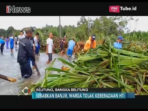 Timbulkan Bencana, Warga Bangka Belitung Tolak Keberadaan HTI - iNews Pagi 09/12