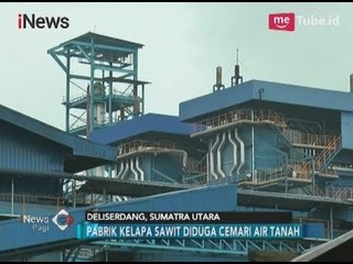 Diduga Dicemari Pabrik Kelapa Sawit, Air Sumur Warga Keruh dan Berbau - iNews Pagi 19/12