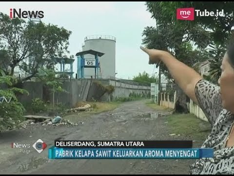 Sebabkan Pencemaran Udara, Warga Keluhkan Keberadaan Pabrik Kelapa Sawit - iNews Pagi 20/12