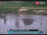 5 Hektar Sawah Tercemar Limbah Pabrik, Beginilah Nasib Petani di Deli Serdang - iNews Pagi 27/12