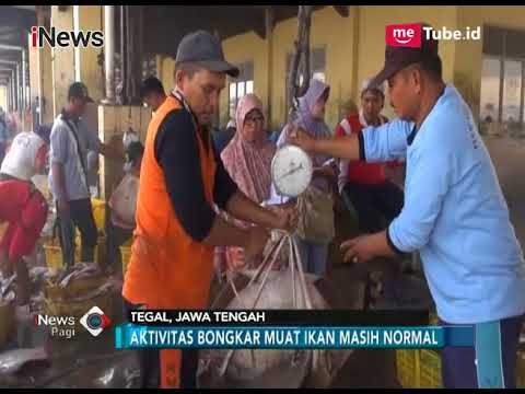 Penggunaan Cantrang Dilarang, Ratusan Nelayan & Pedagang Ikan Terancam Menganggur - iNews Pagi 29/12