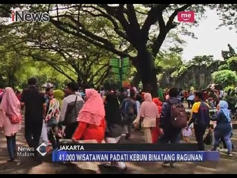 Libur Akhir Tahun, Puluhan Ribu Warga Kunjungi Ragunan - iNews Malam 02/01